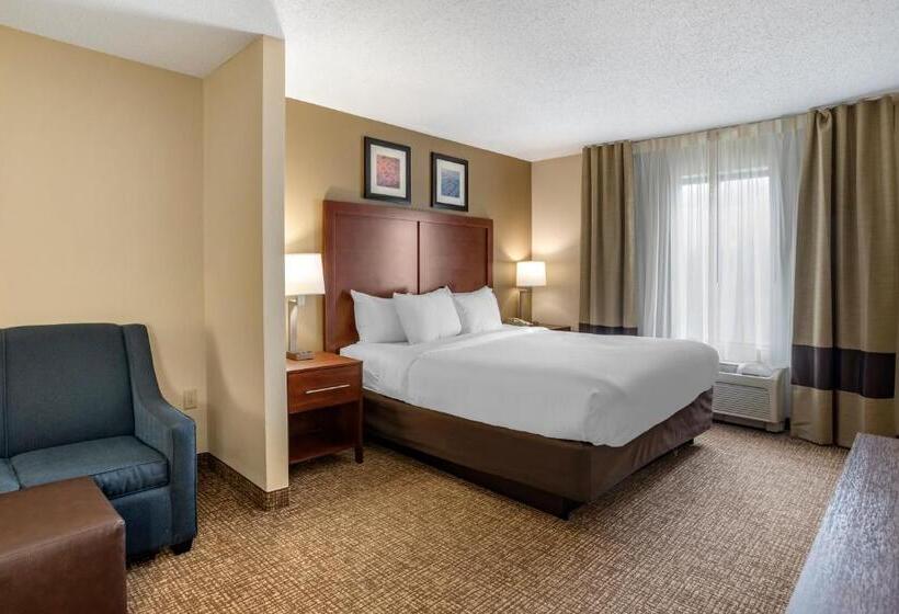 Люкс Кровать Кинг, Comfort Inn & Suites Cambridge