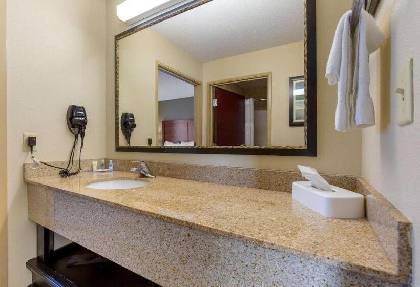 Номер Стандарт Кровать Кинг Адаптированный для Инвалидов, Comfort Inn & Suites Cambridge
