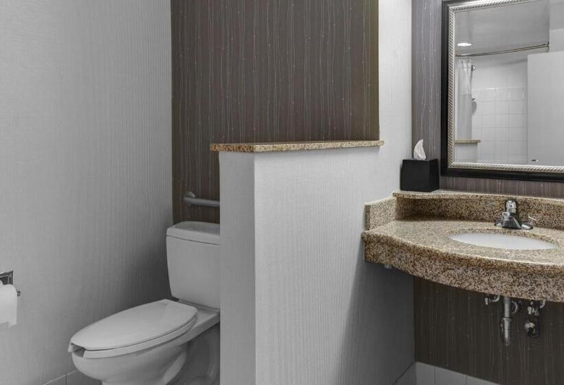 キングサイズベッドのスタンダードルーム, Courtyard By Marriott Anniston Oxford