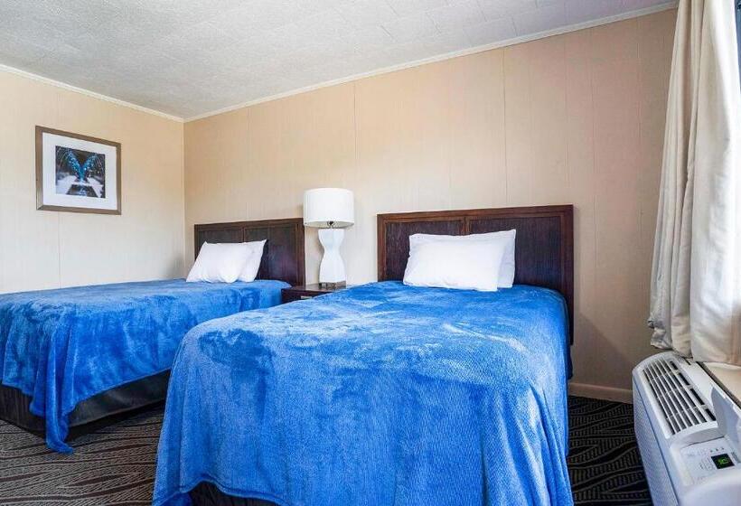 Номер Стандарт, OYO Hotel Opp AL, Floral Hwy