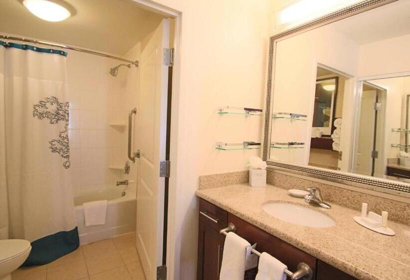 Студио Стандарт Кровать Кинг, Residence Inn Newport News Airport