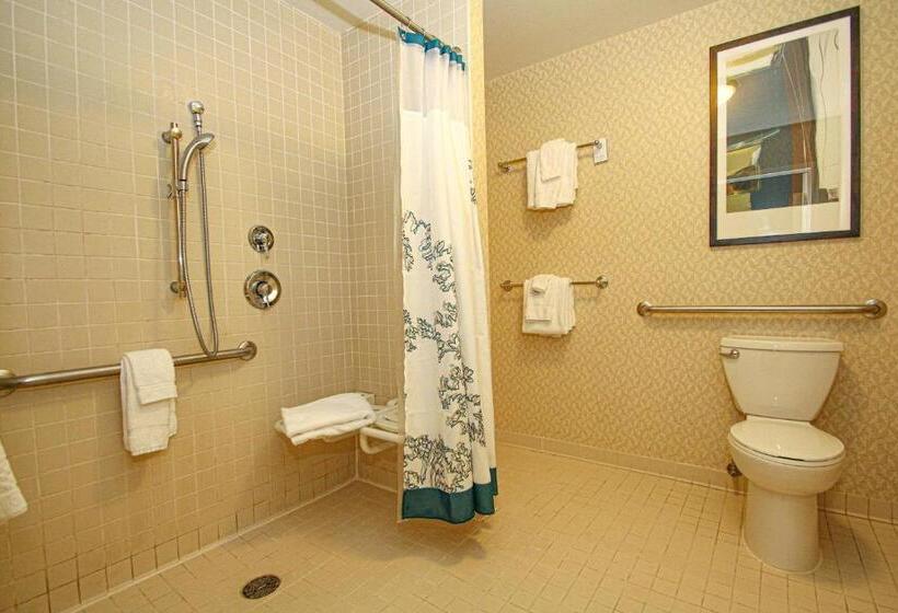 Люкс Deluxe Кровать Кинг, Residence Inn Newport News Airport