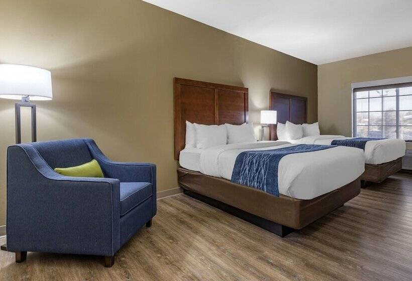 스탠다드 룸 더블 침대 2개, Comfort Inn & Suites High Point  Archdale