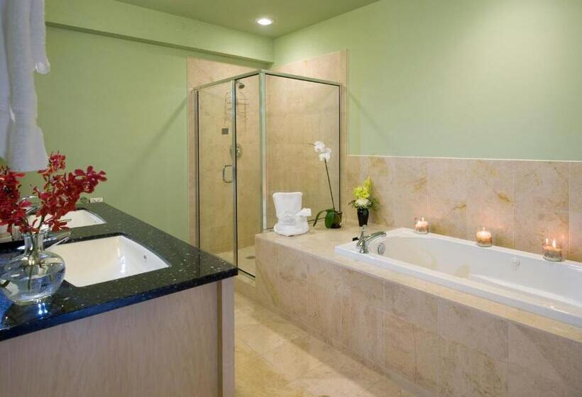 Апартаменты Deluxe 1 Спальня, Grand Eastonian Hotel & Suites Easton