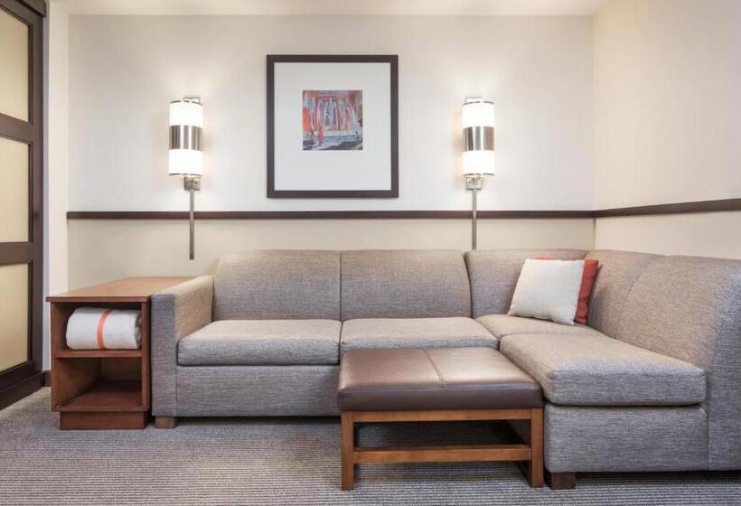 Стандартный Номер Кровать Кинг, Hyatt Place South Bend/mishawaka