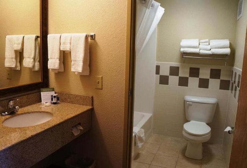 Стандартный Номер Кровать Кинг, Americinn By Wyndham Anamosa