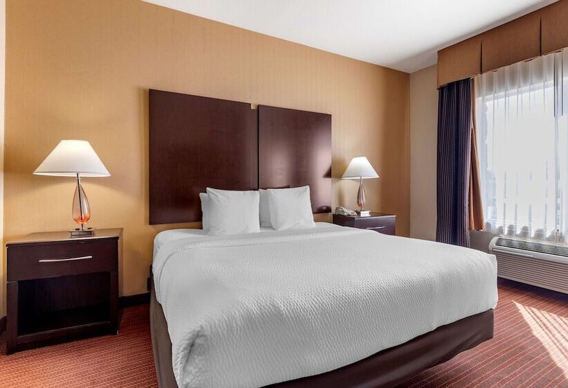 套房, Best Western Plus Dfw Airport West Euless
