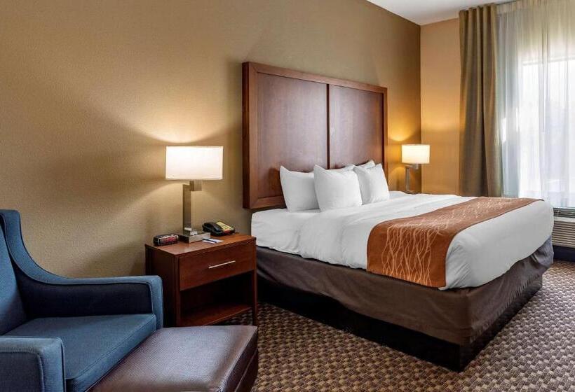 스탠다드 룸 킹사이즈 침대, Comfort Inn & Suites Atokamillington