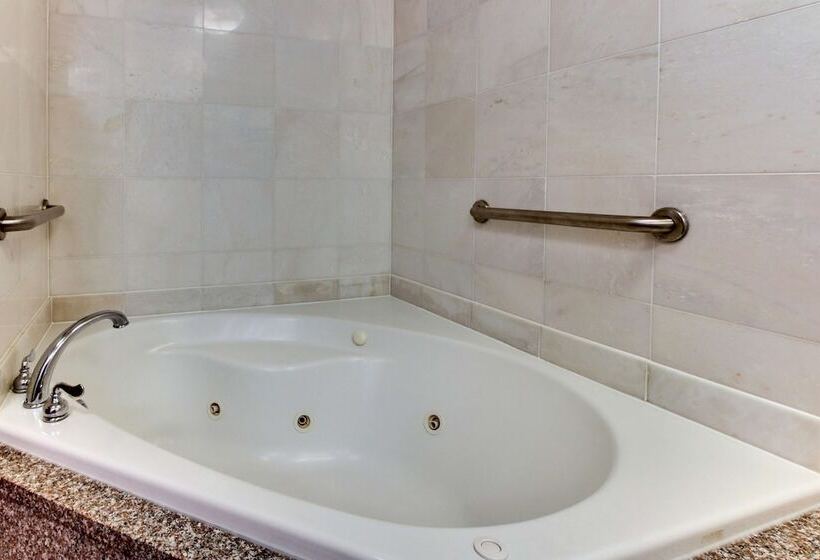 Номер Deluxe, Drury Inn & Suites Meridian