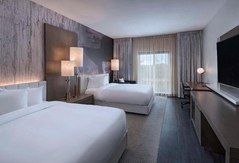 Номер Стандарт, Hyatt Centric The Woodlands