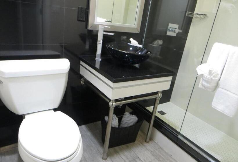 Люкс, Lotus Boutique Inn And Suites