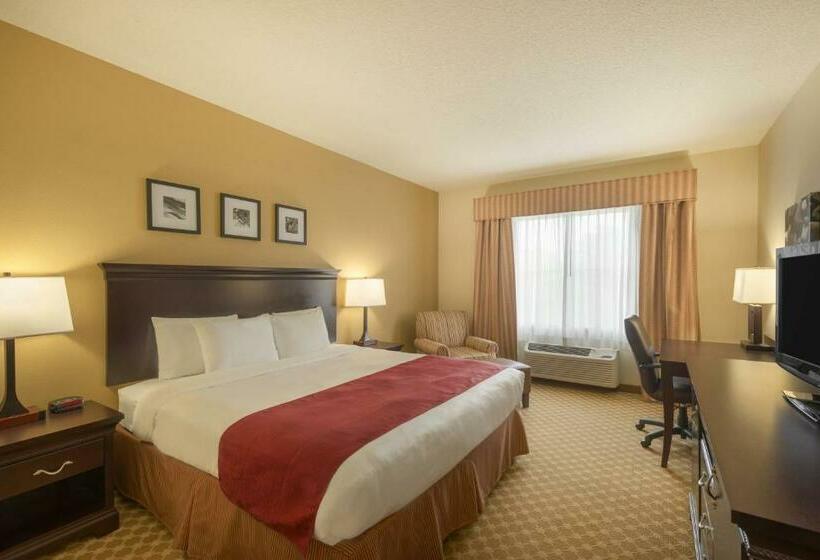 스탠다드 룸 킹사이즈 침대, Country Inn & Suites By Radisson, Port Orangedaytona, Fl