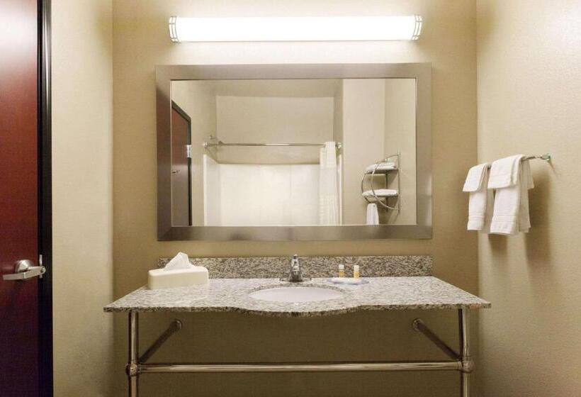 带大床的套房, Lone Star Inn & Suites