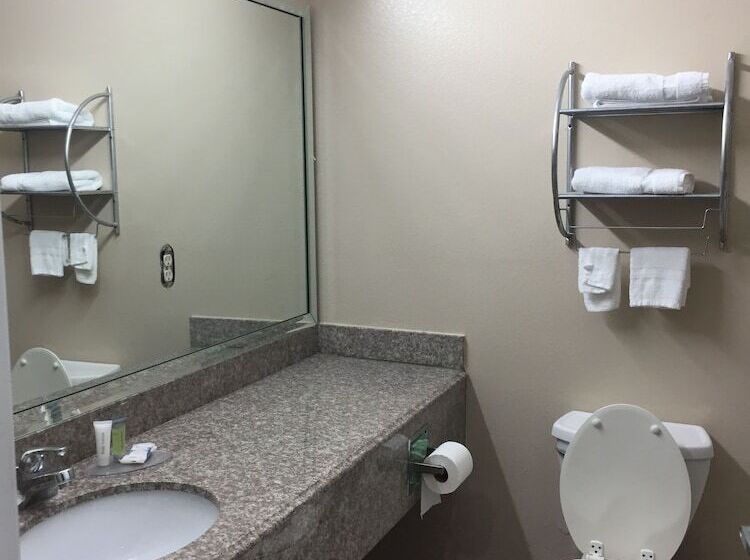 Номер Deluxe Одноместный, Scottish Inns & Suites Timber Creek, Houston, Tx