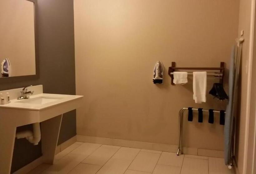 Номер Deluxe Адаптированный для Инвалидов, Atria Inn & Suites