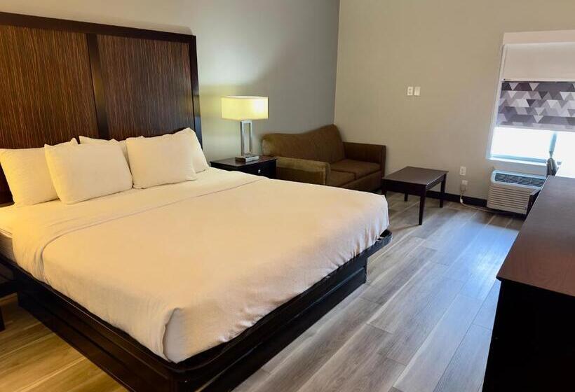 חדר דחוקס עם מיטת קינג, La Quinta By Wyndham Gonzales La
