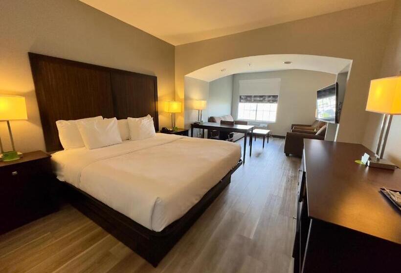 חדר אקזקיוטיב חדר קינג, La Quinta By Wyndham Gonzales La