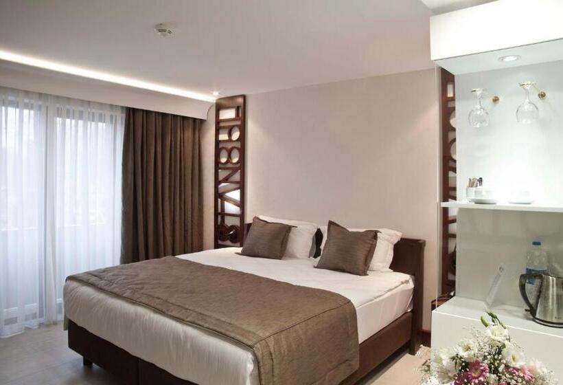 スタンダードルーム, Victory Hotel & Spa Istanbul