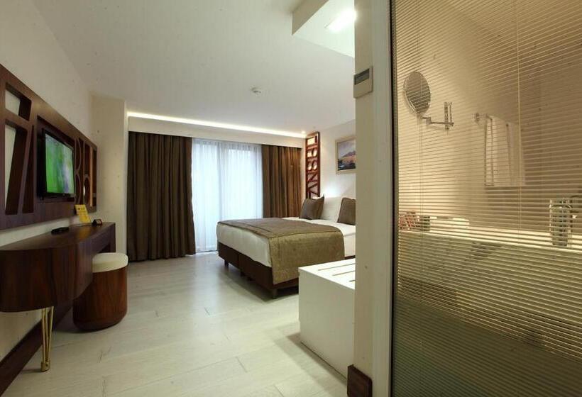 スタンダードシングルルーム, Victory Hotel & Spa Istanbul