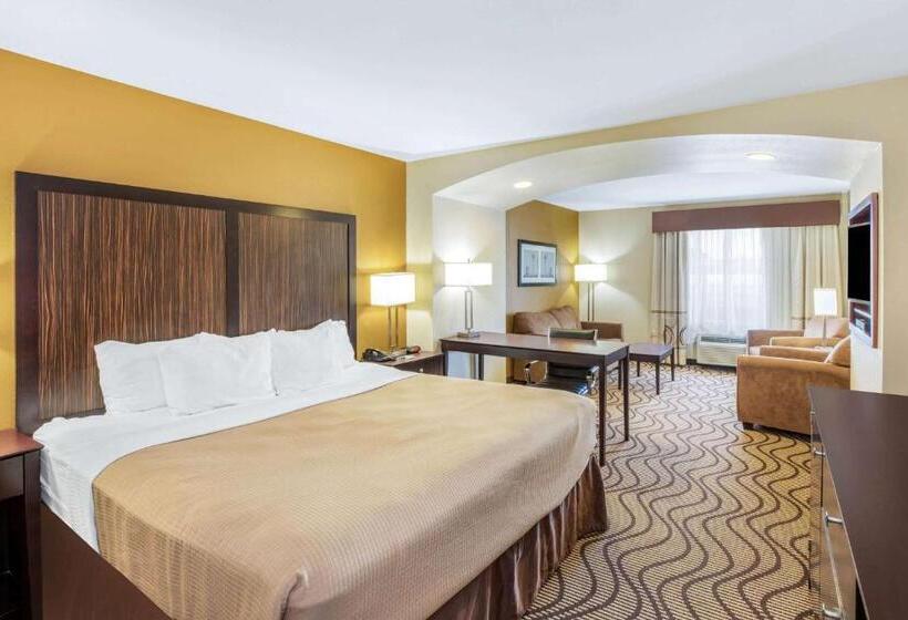 Номер Executive Кровать Кинг, La Quinta Inn & Suites By Wyndham Floresville