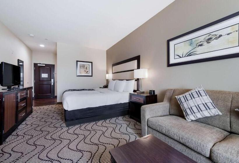 Стандартный Номер Кровать Кинг, La Quinta By Wyndham Auburn