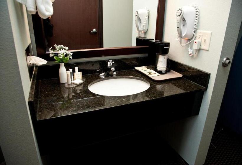 Люкс Кровать Кинг, Baymont By Wyndham Rapid City