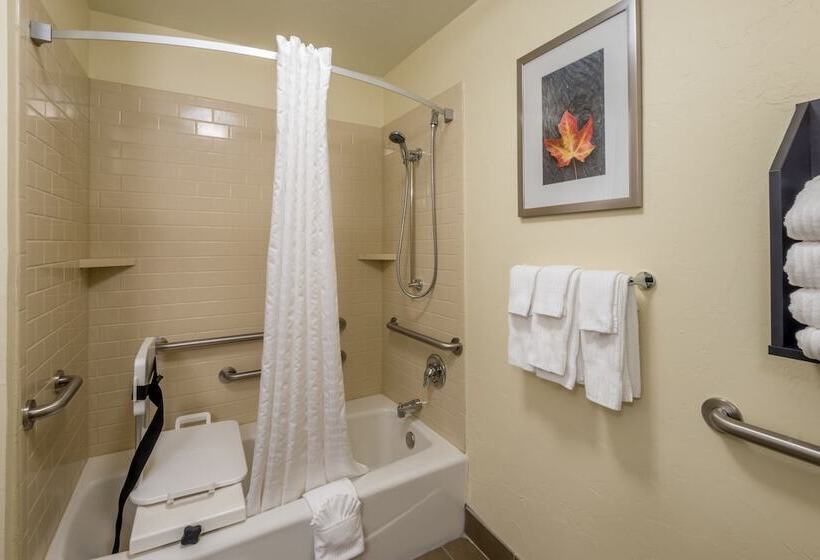 Студия Стандарт, Candlewood Suites Del City, An Ihg
