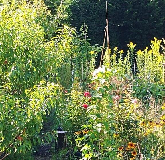 Номер Стандарт Совместная Ванная, Au Jardin De La Maison Des Soeurs