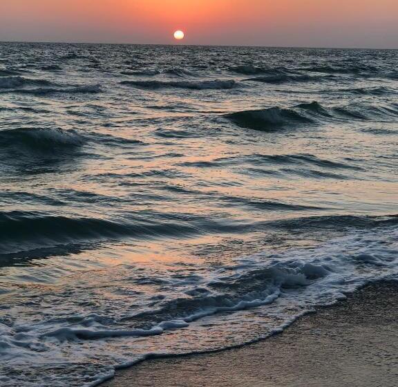 Семейный Номер Вид на Море, Turtle Crawl Inn  Longboat Key