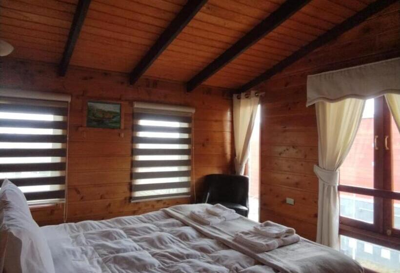 스탠다드 룸, Hostal Caulle