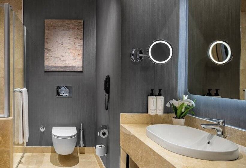 スタンダードルーム, Crowne Plaza   Istanbul Tuzla Viaport Marina, An Ihg