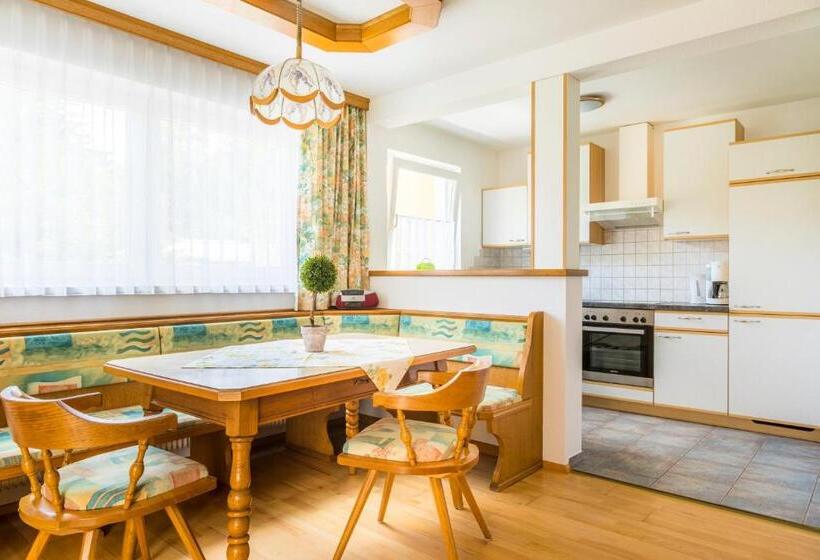 침실 1개 발코니 아파트, Pension Appartements Gabriele