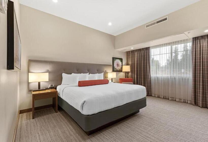 Номер Стандарт Кровать Кинг Адаптированный для Инвалидов, Mountain View Inn & Suites