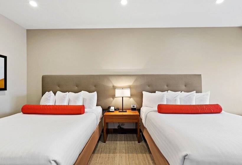 Номер Стандарт, Mountain View Inn & Suites