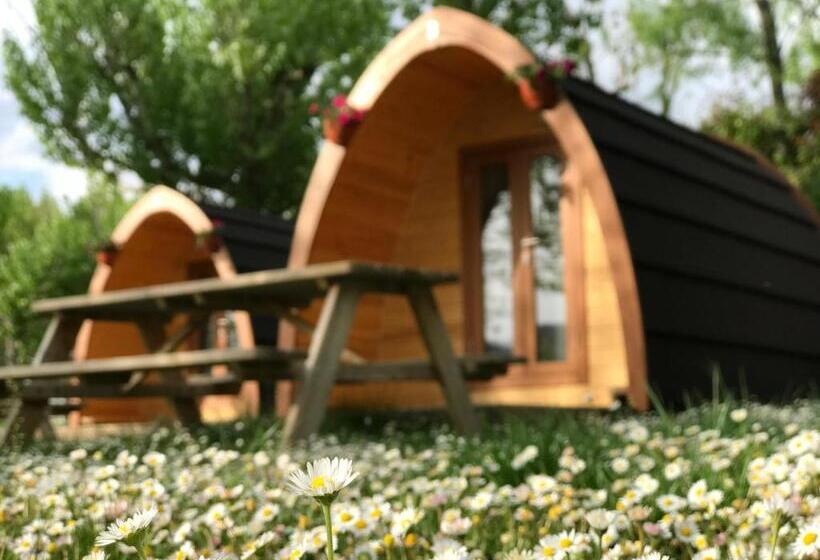 Standard Tent, Bungalows - Cãƒæ’ã‚â mping El Solsonãƒæ’ã‚â¨s