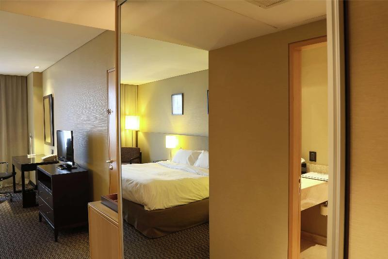 스탠다드 룸 킹사이즈 침대, Hilton Garden Inn Tucuman