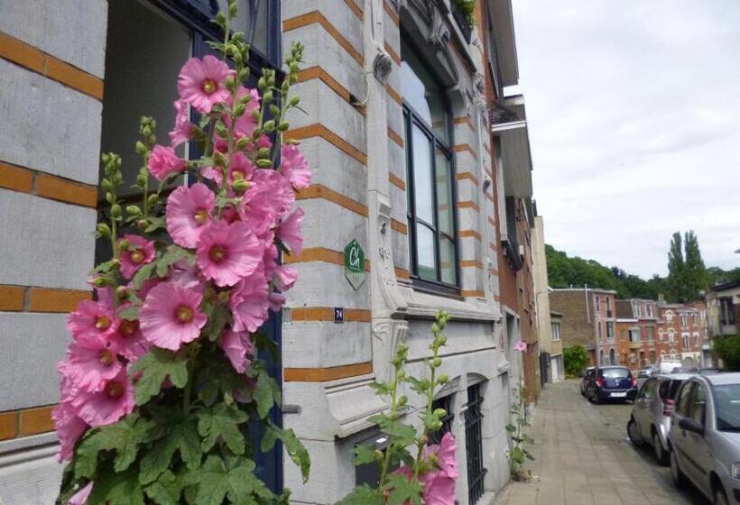 이코노미 룸, B&b Matin Tranquille