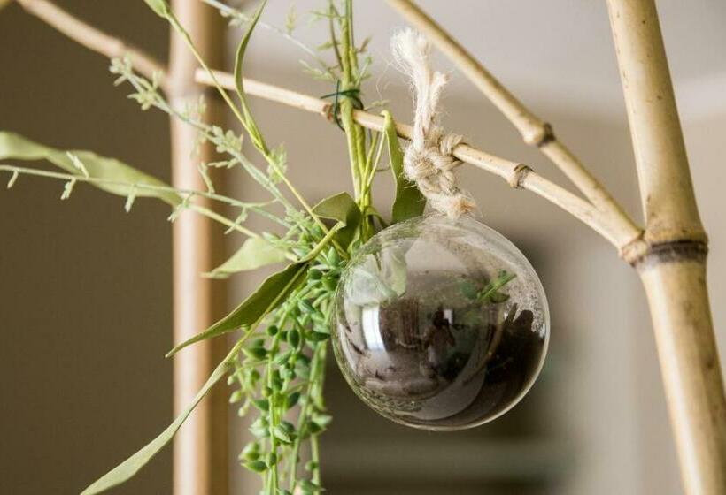 استودیو استاندارد با تخت کینگ, Villa Domus Petraianca