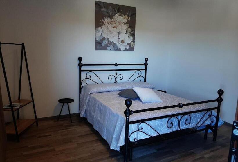 スタンダードルーム, Padiz Room