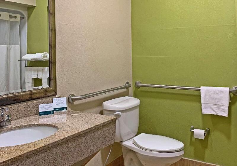 Стандартный Номер Кровать Кинг, Quality Inn & Suites Quantico