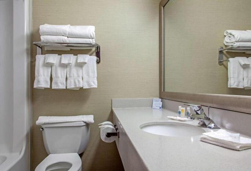 Стандартный Номер Кровать Кинг, Comfort Inn & Suites I 25 Near Spaceport America