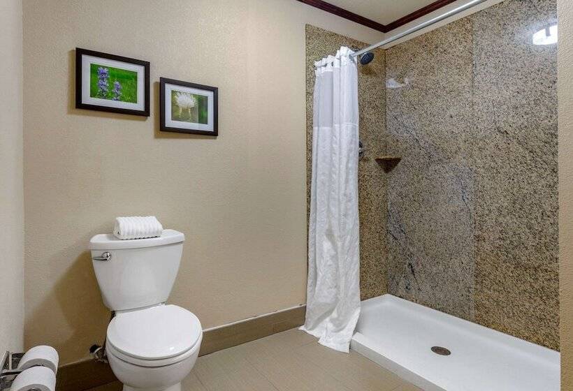 סוויטה, Comfort Suites Manhattan
