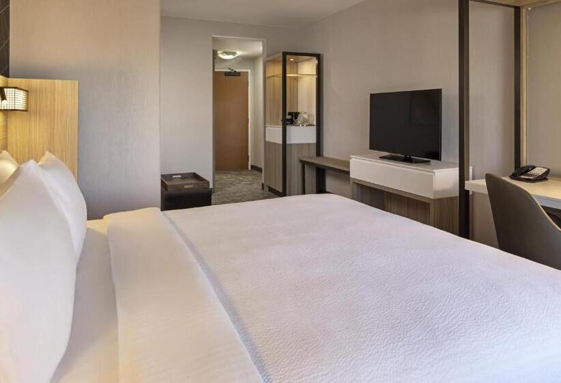 带大床的套房, Springhill Suites By Marriott Turlock