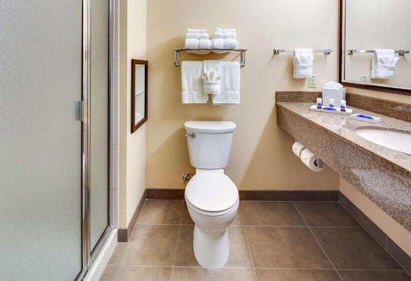 Студия Стандарт, Best Western Plus Arlington/marysville