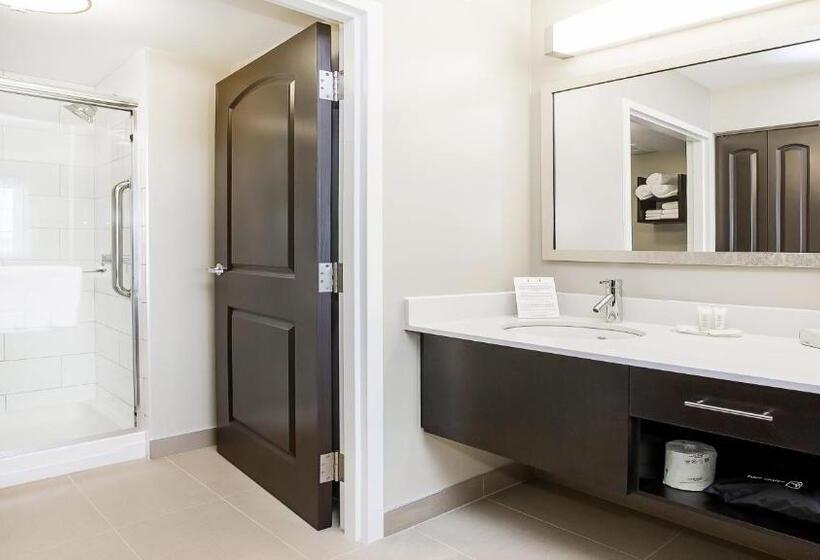 带四张床的标准工作室, Staybridge Suites West Edmonton, An Ihg