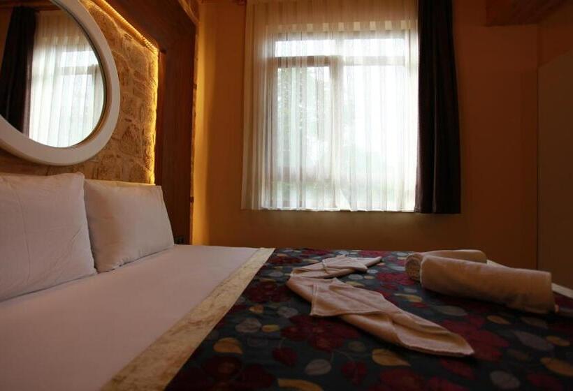 اتاق سوپریور, Bacchus Pension