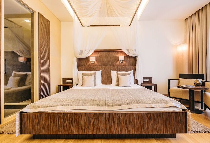 Номер Стандарт Вид на Озеро, St. Martins Therme & Lodge
