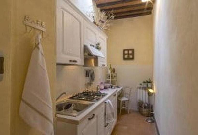 شقة سوبريور غرفة واحدة, Agriturismo Poggio Ai Legni
