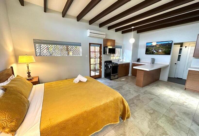 إستوديو ديلوكس, Atrium Palm Springs   G A Y Mens Resort