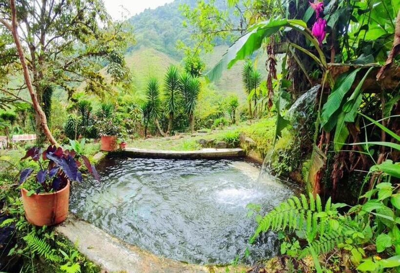 Cabană cu 1 Dormitor, Hospedaje Pance Arí Munani Reserva Natural